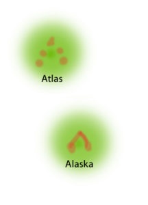 Individuelle Kopfzeichnungen Phelsuma Grandis